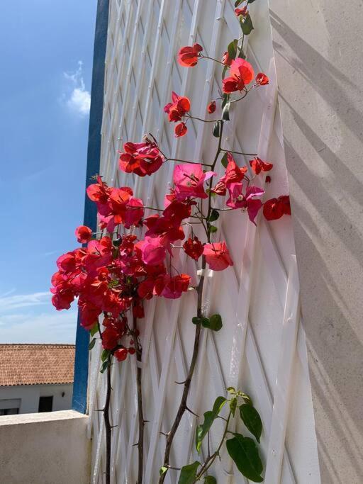 Joia Da Casa Villa Sobral  ภายนอก รูปภาพ