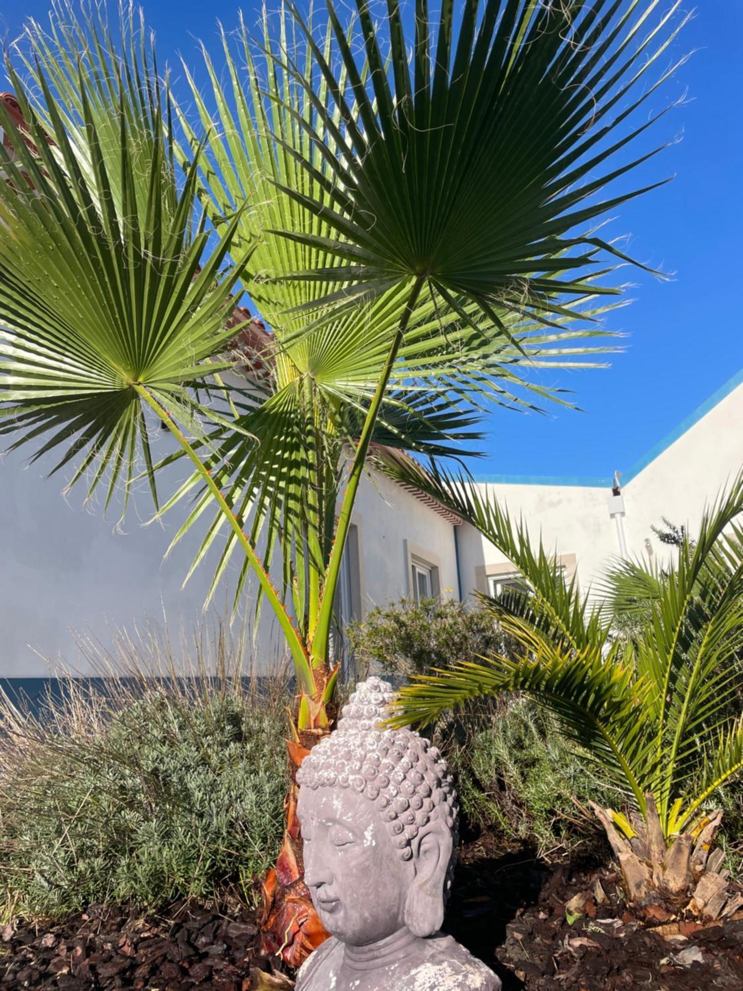 Joia Da Casa Villa Sobral  ภายนอก รูปภาพ